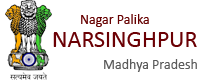 npnarsinghpur.com